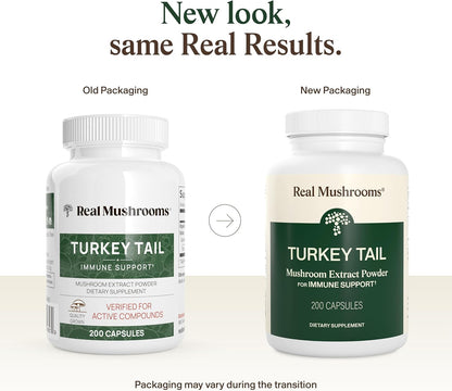 Real Mushrooms Turkey Tail Capsules – Organic Mushroom Extract for Daily Wellness, Gut Harmony, Energy Support – Vegan, Non-GMO, No Fillers – Turkey Tail Extract 200 Count Mushroom Supplement