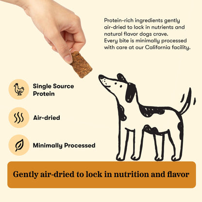 Plato Real Strips Turkey & Pumpkin Recipe Dog Treats, Air-Dried High-Protein Grain-Free Soft Strips with Real Pumpkin, 18 oz