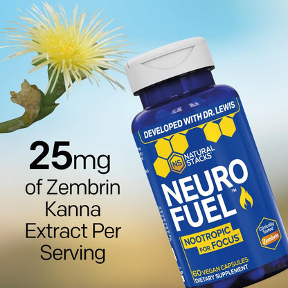 NeuroFuel Kanna Nootropic With Zembrin For Memory And Focus, 60 Capsules | Sceletium Tortuosum extract supports mental clarity and cognitive performance. Ideal for work, study, and busy days.