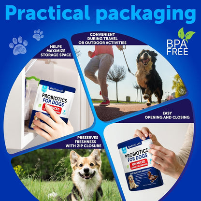 Dog Probiotic Chews + Salmon Oil Bundle - Probiotics & Prebiotics for Gut Health, Immunity, Yeast Balance, Reduces Diarrhea - Omega 3 with EPA & DHA for Skin, Coat, Joint & Allergy Support