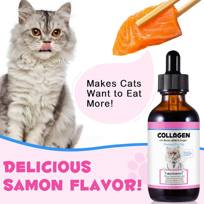 Liquid Collagen for Cats, Cats Collagen Liquid Drops with Biotin, MSM & Ginger Immunity Support, Itch Relief, Skin & Coat and Joint Health Supplement for Cat 60ml