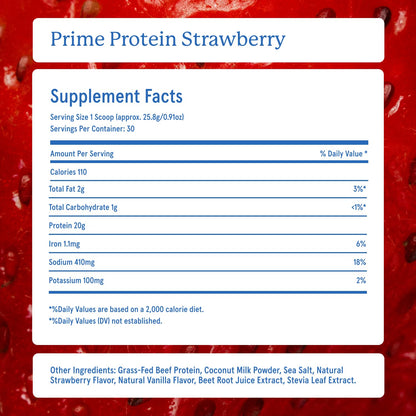 Equip Prime Chocolate Protein Powder - Gut-Friendly, No Sugar Protein Shake Powder with Grass-Fed Beef & Natural Collagen - Rich & Creamy Mix - 21g Per Serving - Whey & Dairy-Free (30 Scoops)