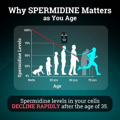 Spermidine Supplement (1440mg of 99% Pure Spermidine Supplements For Women & Men) 4 Months Supply (100X More Potent Than Wheat Germ Extract) 12MGS Per Serving For Cellular Health, Anti-Aging & Energy