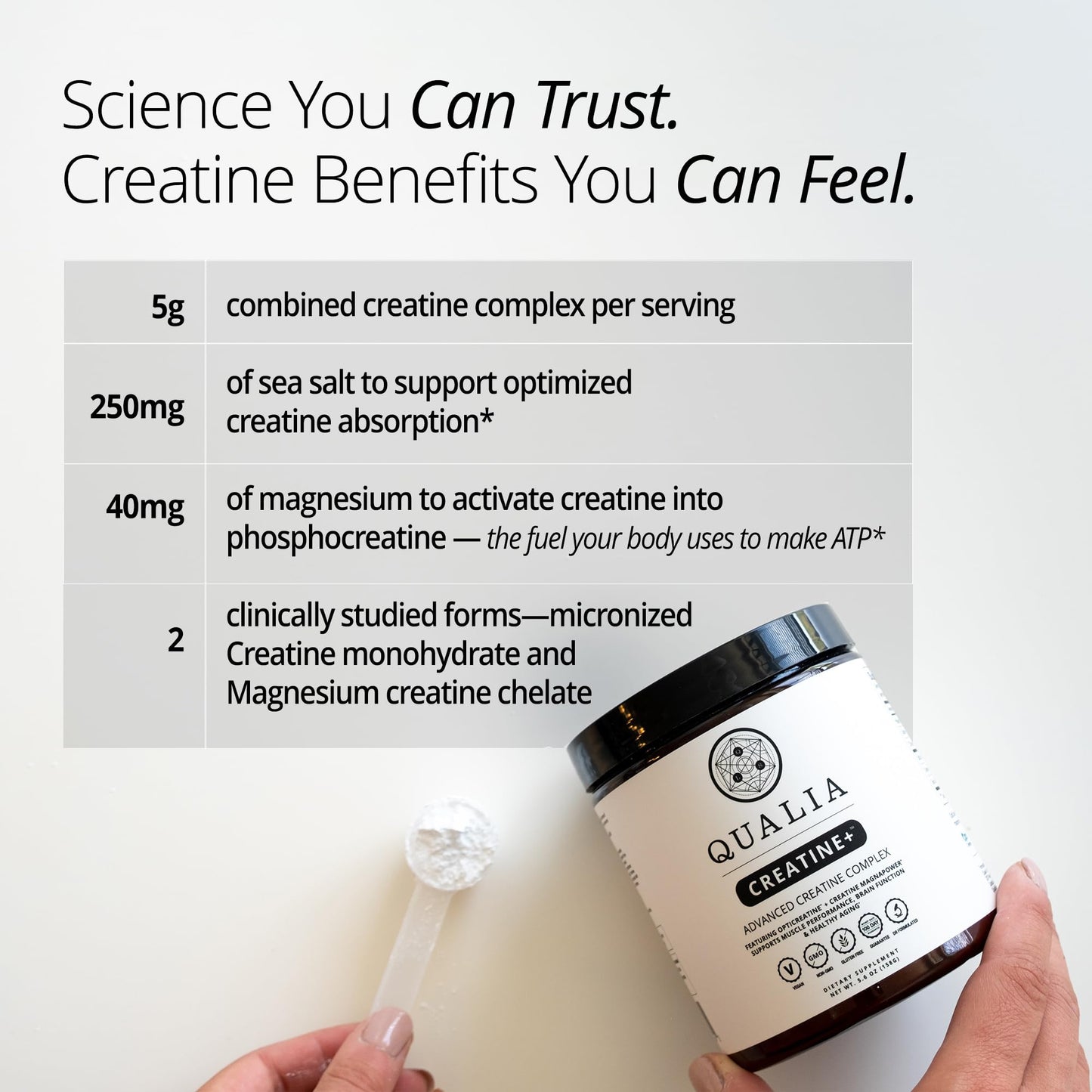 Qualia Creatine | Advanced Creatine Complex | 2 Sources + Magnesium | Optimized Absorption | Muscle Performance, Brain Function, & Healthy Aging (30 Servings)
