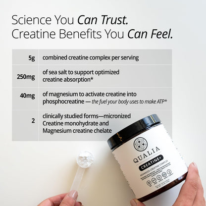 Qualia Creatine | Advanced Creatine Complex | 2 Sources + Magnesium | Optimized Absorption | Muscle Performance, Brain Function, & Healthy Aging (30 Servings)