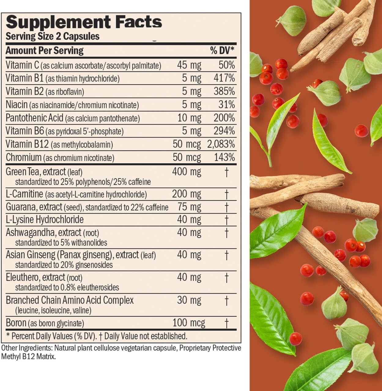 ANDREW LESSMAN Energy and Fat Metabolism Factors 60 Capsules - Promotes Optimum Fat Burning and Energy Metabolism, with Carnitine, Green Tea, Guarana, Ginseng, B-Complex. Easy to Swallow Capsules