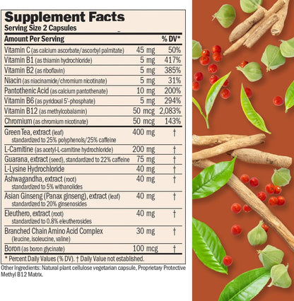 ANDREW LESSMAN Energy and Fat Metabolism Factors 60 Capsules - Promotes Optimum Fat Burning and Energy Metabolism, with Carnitine, Green Tea, Guarana, Ginseng, B-Complex. Easy to Swallow Capsules