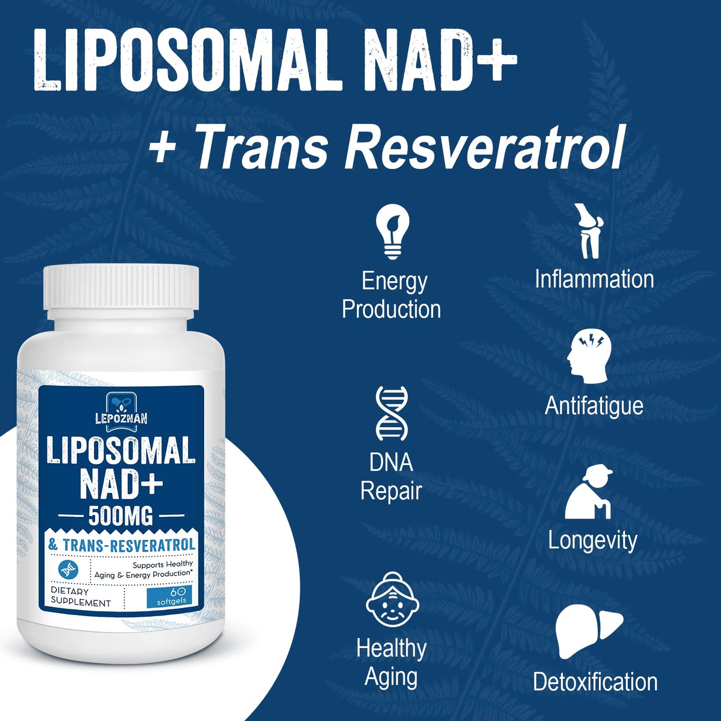 Liposomal NAD+ 500 mg + Trans-Resveratrol 300 mg, Superior Absorption True NAD Supplement Efficient for Cellular Energy Metabolism & DNA Repair, 60 Softgels