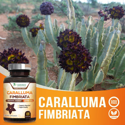 Pure Caralluma Fimbriata Extract Highly Concentrated 1200mg - Natural Endurance Support