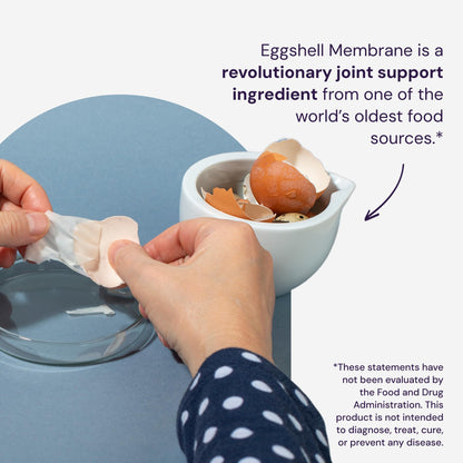 Healthy Origins NEM Eggshell Membrane 500 mg, 120 Veggie Caps