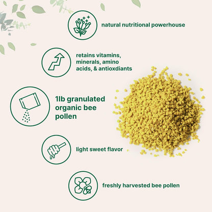 Micro Ingredients Organic Bee Pollen Granules, 1 lb | Fresh Harvest, Raw & Natural Superfood | Rich in B Vitamins, Minerals, Protein & Antioxidants | Keto, Non-GMO
