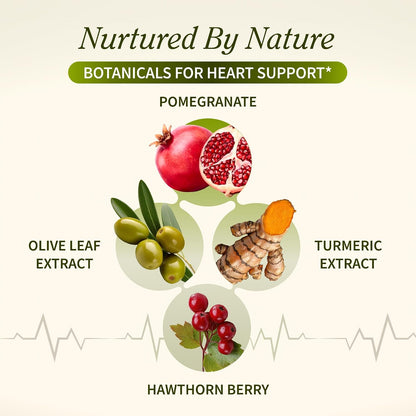 Snap Supplements Heart Health Support Supplement with Beets, 90 Capsules | Botanical Support for Heart Health, Healthy Circulation, and Nitric Oxide Levels, Vegan, Non-GMO (Packaging May Vary)