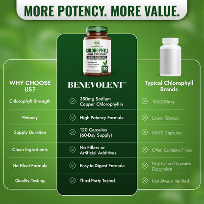 Chlorophyll Capsules 350mg – High Potency Sodium Copper Chlorophyllin Supplement for Internal Freshness, Detox, Digestion, Immune & Skin Health – Easy to Swallow – Made in USA – 120 Vegan Cap