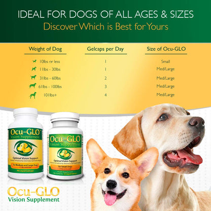 Vision Supplement for Medium to Large Dogs, 11+ lb, 90 Count | Veterinarian-Formulated Supplement Specifically Supports Eye Health; Unflavored & Easy to Give