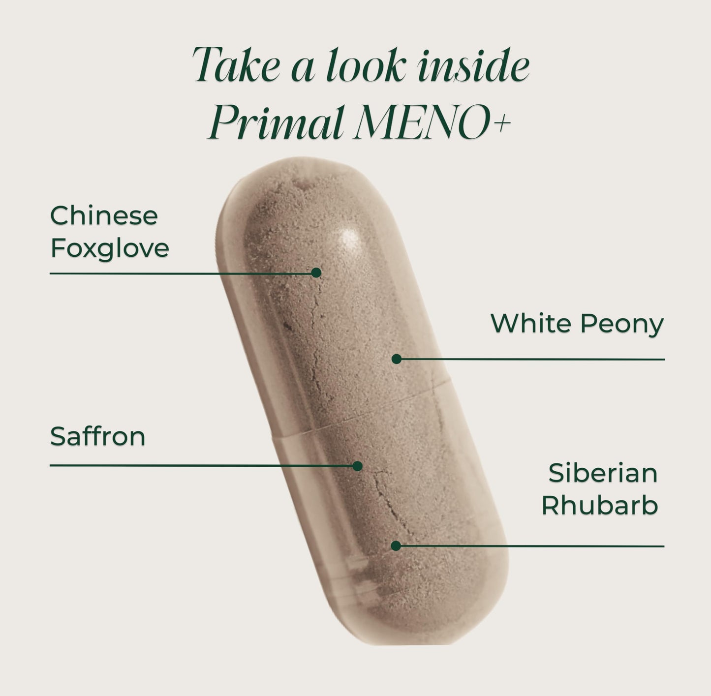Primal Harvest MENO+ - Daily Vegan Supplement, Gluten & Dairy Free