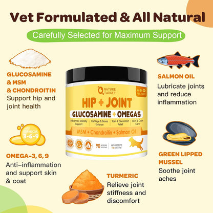 NATURE TARGET Glucosamine for Dogs Powder, Hip & Joint Supplement, 9.52 oz | With Chondroitin, MSM, Turmeric & Omega 3, Supports Hip & Joint Mobility, Joint Pain Relief, for Small, Medium & Large Breeds