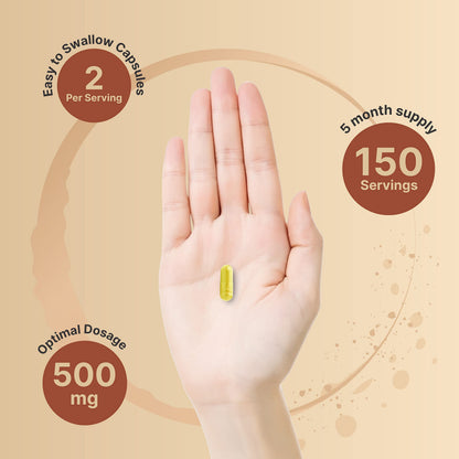 NatureBell Quercetin 500mg Per Serving | 300 Capsules, Ultra Strength Quercetin