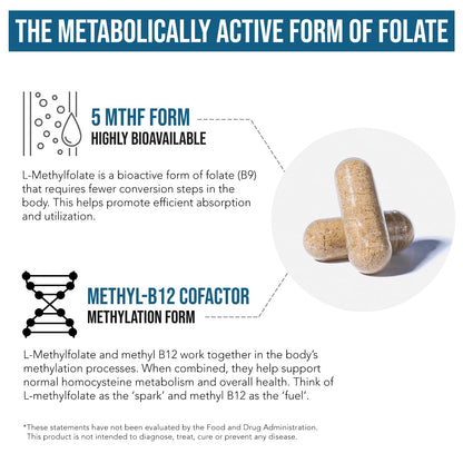Organic Methyl Folate 1000 mcg + Methyl B12 Cofactor (300 Servings) – Metabolically Active 5-MTHF Form, Organic Berry Flavor, Liquid Sublingual Form – Mood, Cognition, Methylation, Pregnancy (1oz)