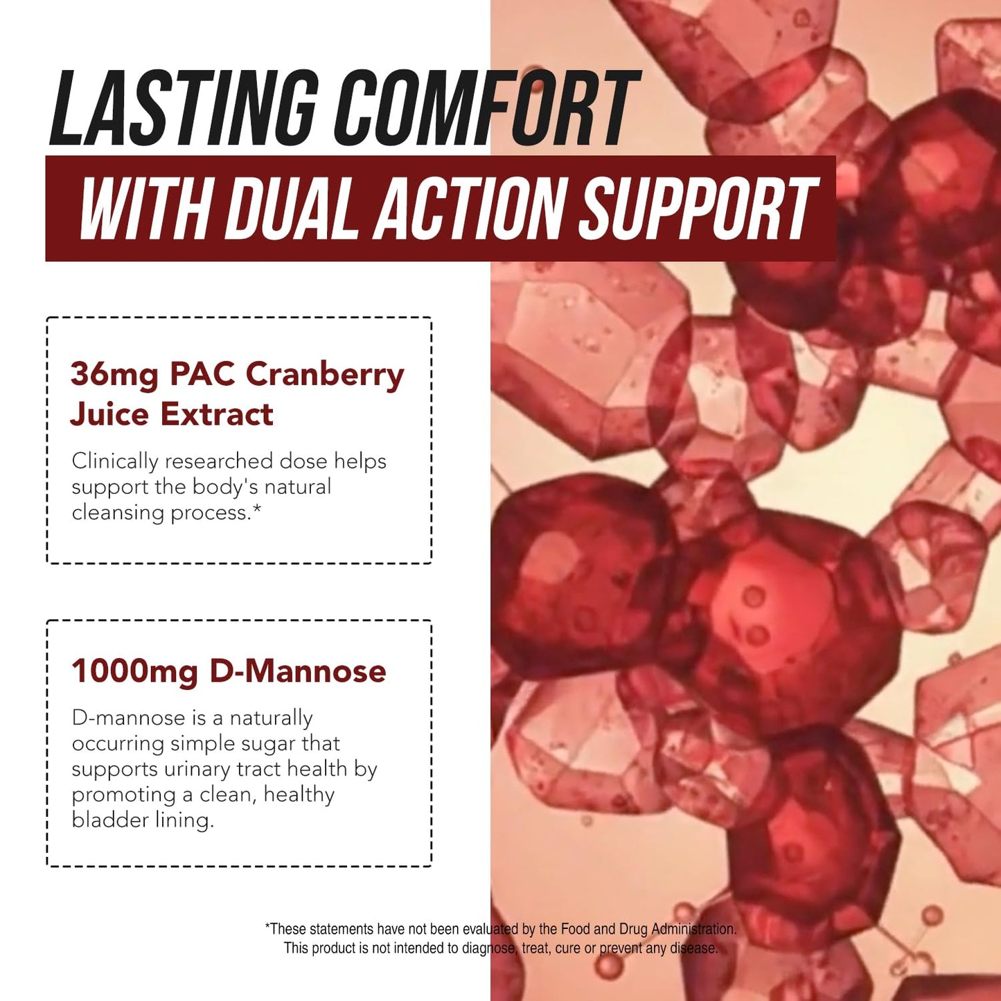 CranEaze®: Cranberry Juice Extract Plus D-Mannose – 36 mg PAC, 100% Soluble PAC - Supports Urinary Tract Health – Most Effective Cranberry Pills for Women, UTI Cranberry Supplement - 60 Capsules