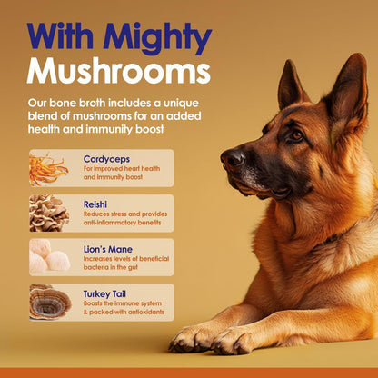 Grass-Fed Beef Bone Broth Powder for Dogs - Rich in Protein & Collagen, Enhanced with Mushroom Blend for Strong Bones, Joint Flexibility, Digestive Comfort & Immune Support - Made in USA - 4.2oz