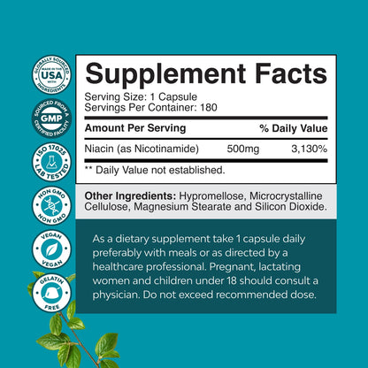 Vitamin B3 Niacinamide 500mg Capsules - Mitochondrial Energy and Potent Skin Supplement - Vitamin B3 Niacin Flush Free and Nicotinamide 500mg - Flush Free Niacin Supplement - 60 Count