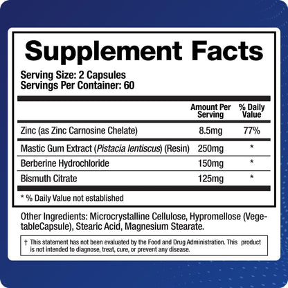 BioMatrix H Pylori Supplement, Mastic Gum, Berberine, Zinc Carnosine & Bismuth Salts, Probiotic Alternative, Gut Formula, 120 Capsules, 30-60 Day Supply