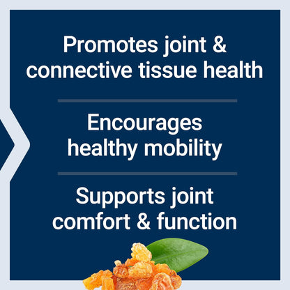 Life Extension ArthroMax® Advanced NT2 Collagen™ & AprèsFlex®, glucosamine sulfate, Boswellia (Indian Frankincense), Joint Health, Mobility, Gluten-Free, Non-GMO, 60 Capsules | Glucosamine Sulfate & Boswellia (Indian Frankincense) for Joint Health & Mobil