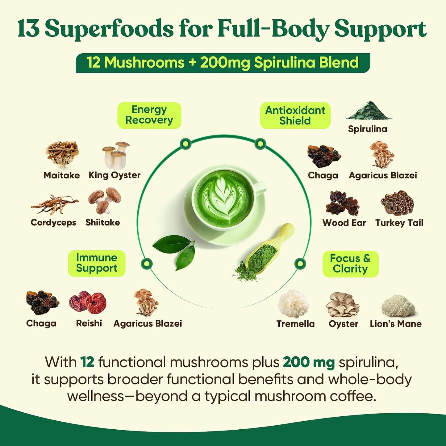 Venture Pal Mushroom Matcha Powder – 13 Superfood Mushroom Coffee Alternative with Ceremonial Grade Matcha Powder, 1.5B Probiotics for Focus, Energy & Digestion