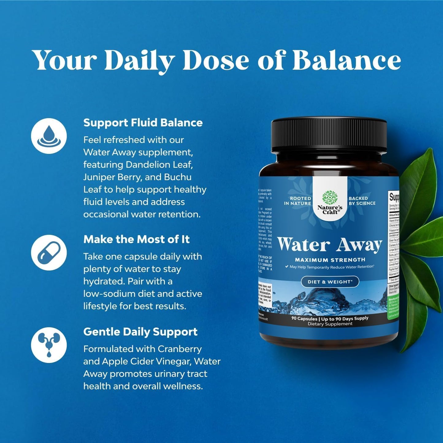 Water Away Herbal Diuretic Pills High Strength - Fluid Retention Supplement with Dandelion Leaf Extract & Green Tea for Bloating Relief for Women & Men - Capsules for Leg & Feet Swelling - 90 Count