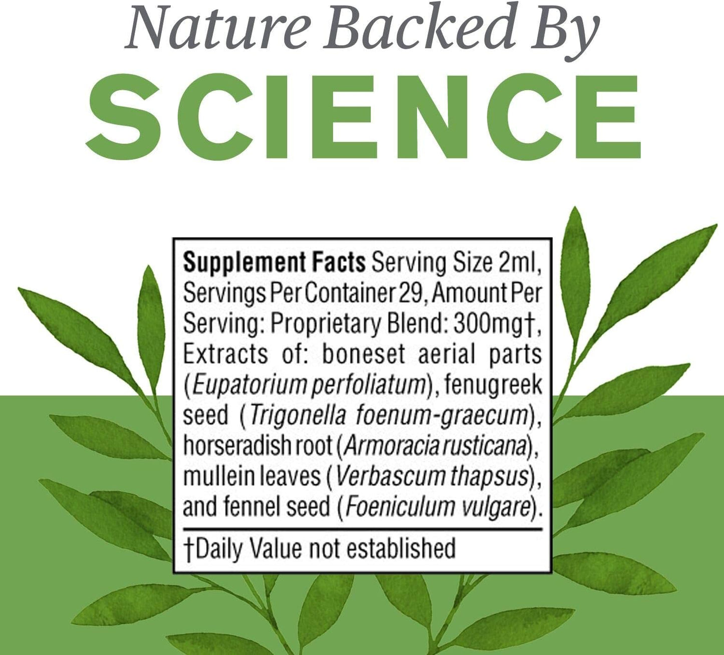 Nature's Sunshine Seasonal Allergy Liquid Herbal Supplement – Botanical Respiratory Support, 2 fl. oz.