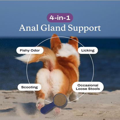 PetLab Co. Anal Gland Support Powder, Tailored, Small | Size-specific beet pulp, psyllium husk and probiotics to support firm stools and gland expression