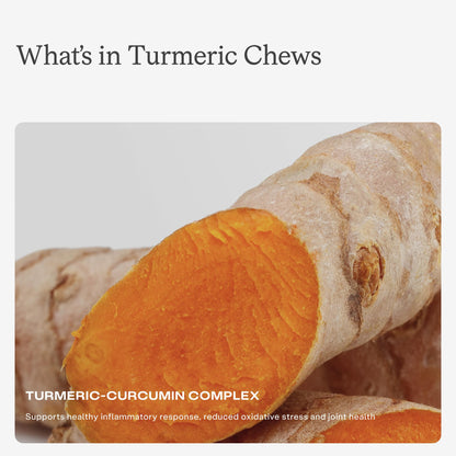 HumanN Turmeric Chews Supplement – Clinically Studied High Absorption Curcumin Complex - Orange Citrus Flavor – from SuperBeets Makers – Joint Health – 30 Count