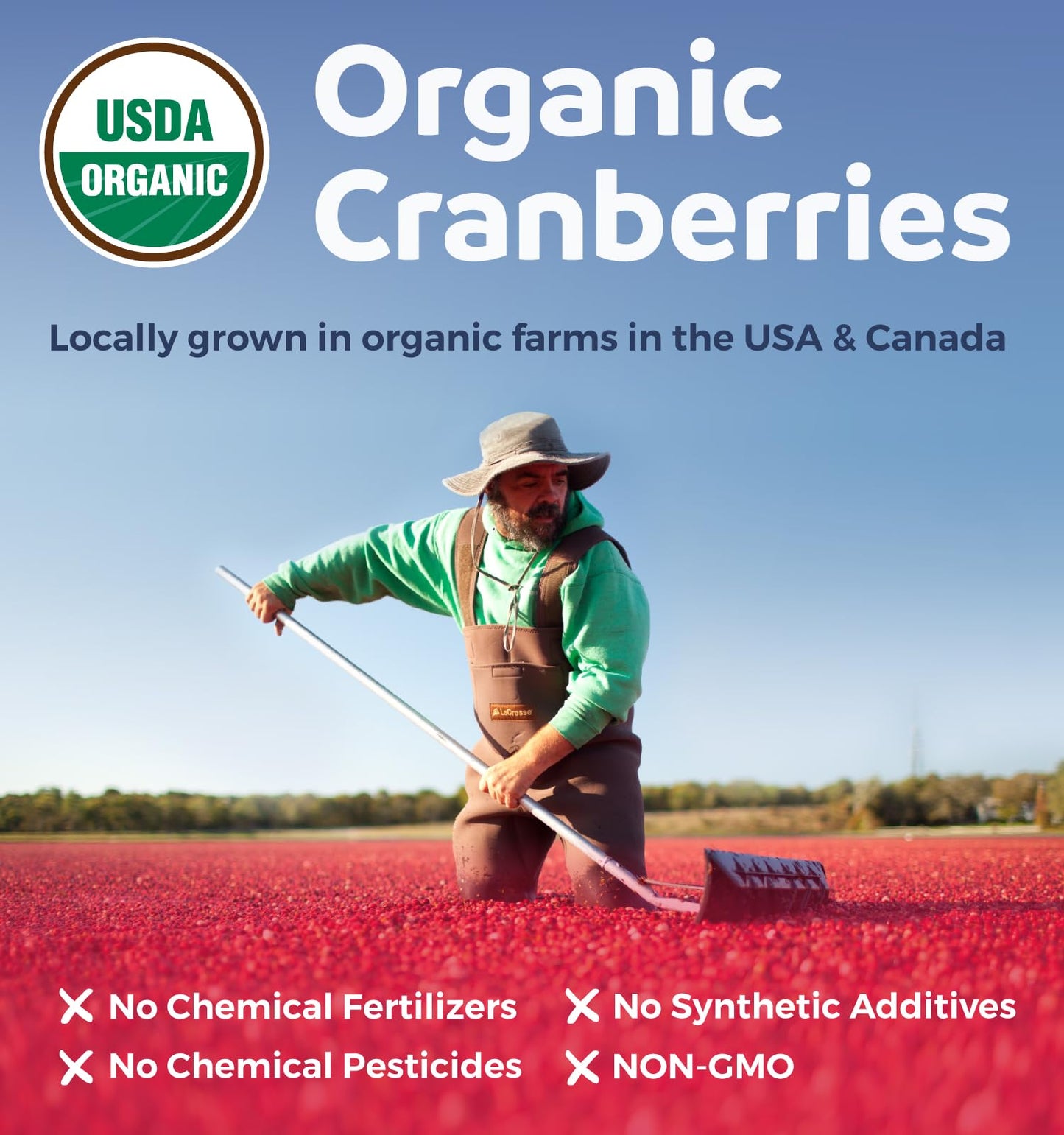 Organic Cranberry Pills - Vegan Supplement for Urinary Tract Health & Kidney Cleanse - Cranberry Pills for Women 500mg 50:1 Cranberry Concentrate Per Serving - Urinary Tract Support - 60 Capsules