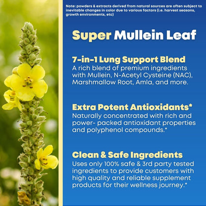 Mullein Leaf Extract & NAC Lung Detox Cleanse- N-Acetyl Cysteine, Marshmallow Root, Bromelain - Lung Health, Sinus, Mucus Removal Support Supplement for Smokers - 90 Capsules, Non-GMO, Gluten-Free