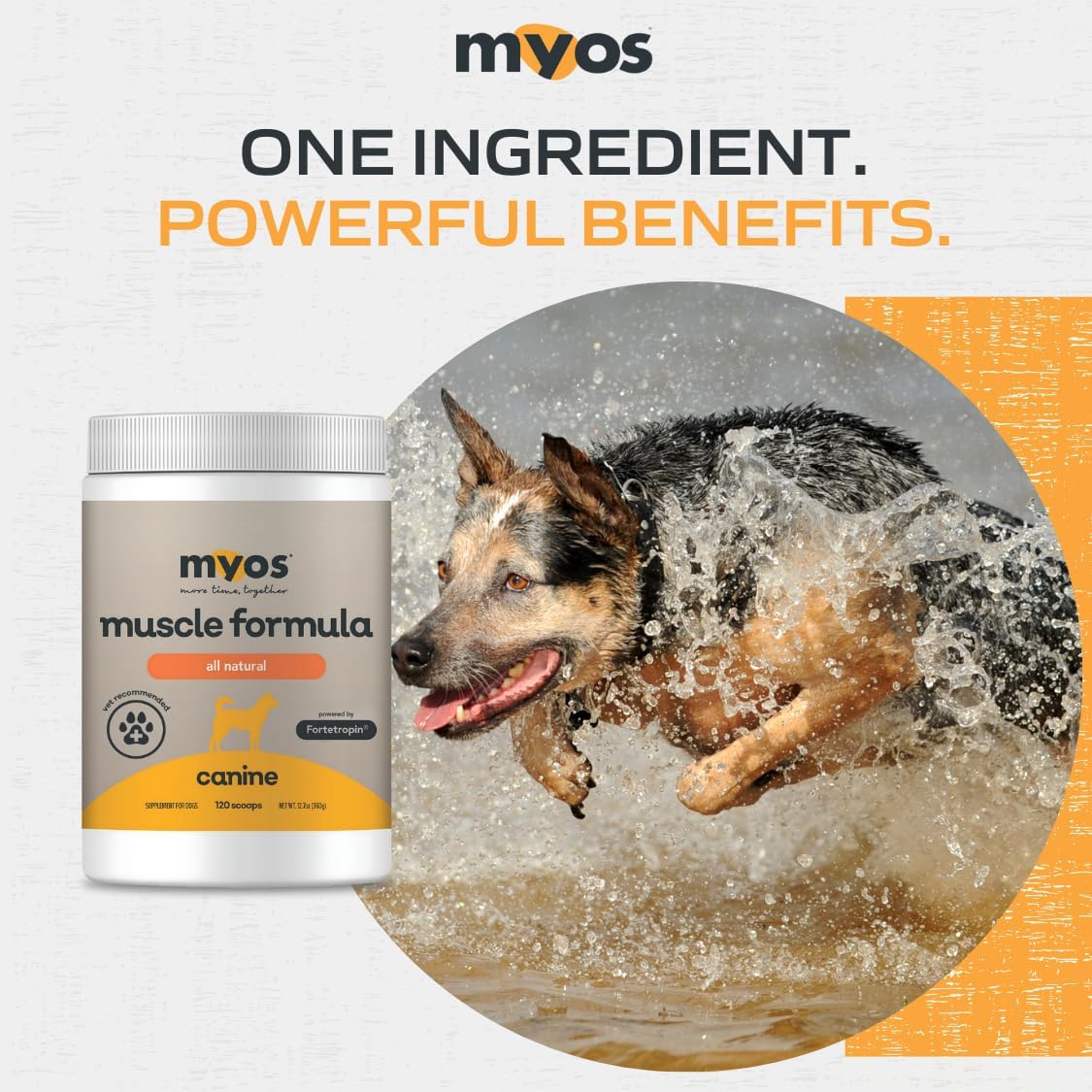 Powered by Fortetropin All-Natural Dog Muscle Builder and Mobility Support Supplement for Strength and Recovery - Helps Reduce Muscle Loss Due to Normal Aging, 360g