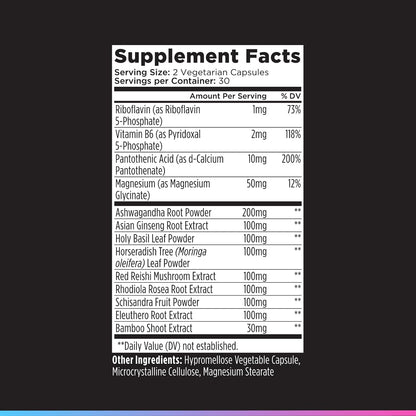 Livingood Daily Stress Support, 12-in-1 Supplement with Ashwagandha, Reishi Mushroom, Vitamin B6, Adaptogenic Herbs & Magnesium, Supports Mood & Calm, Gluten Free, Vegan, 60 Vegetarian Capsules