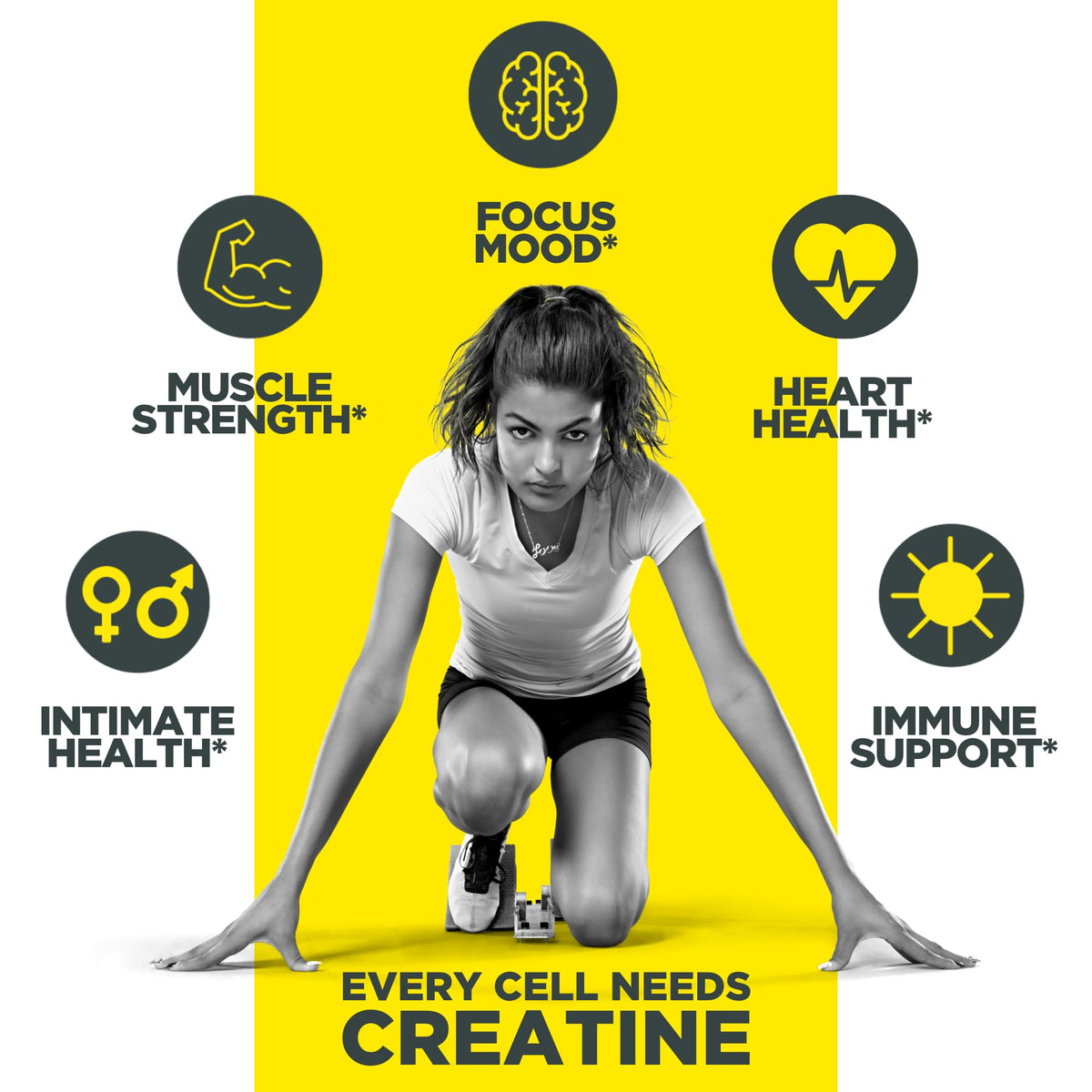CON-CRET Creatine HCl Powder | Supports Muscle, Cognitive, and Immune Health