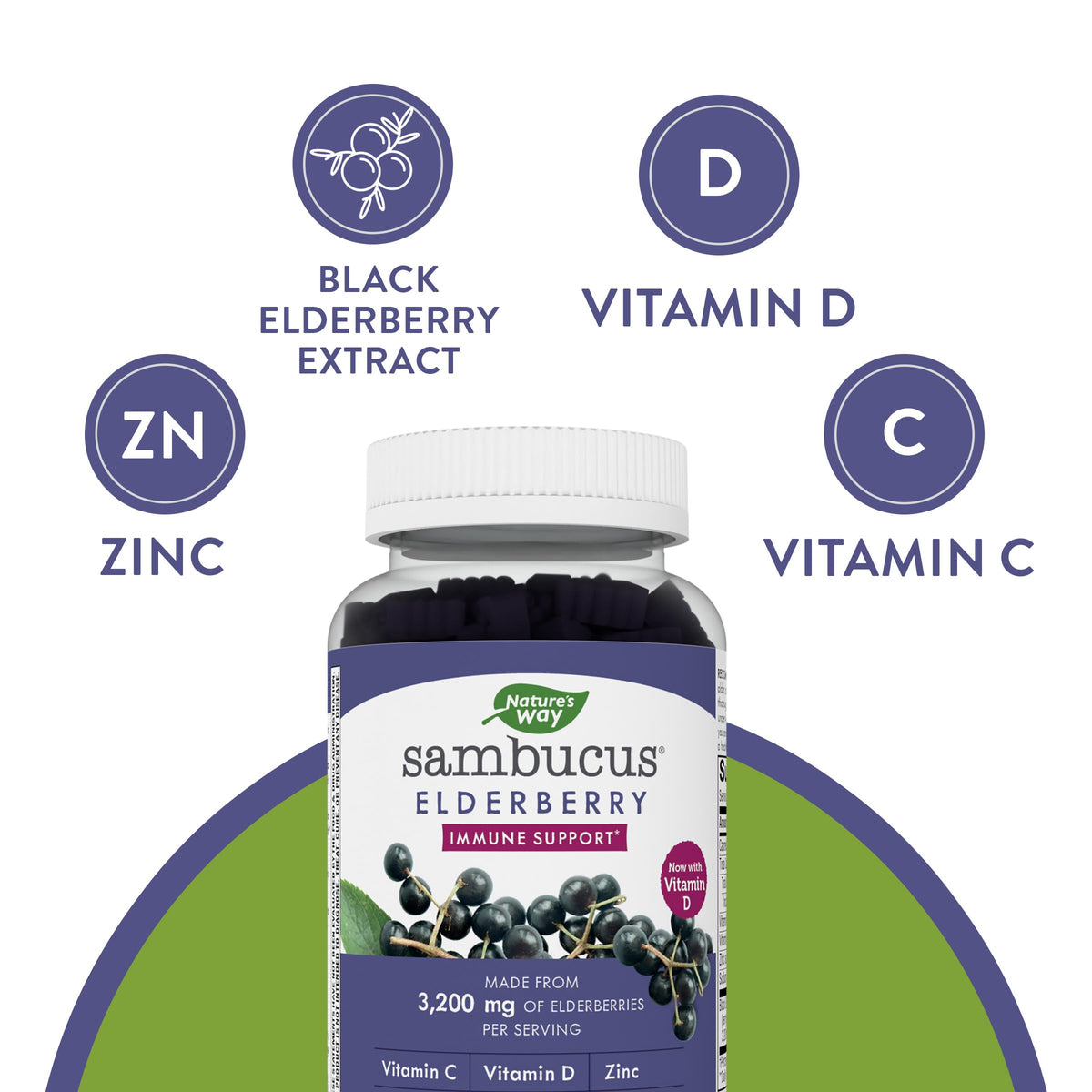 Nature's Way Sambucus Elderberry Gummies - Immune Support Supplement for Kids