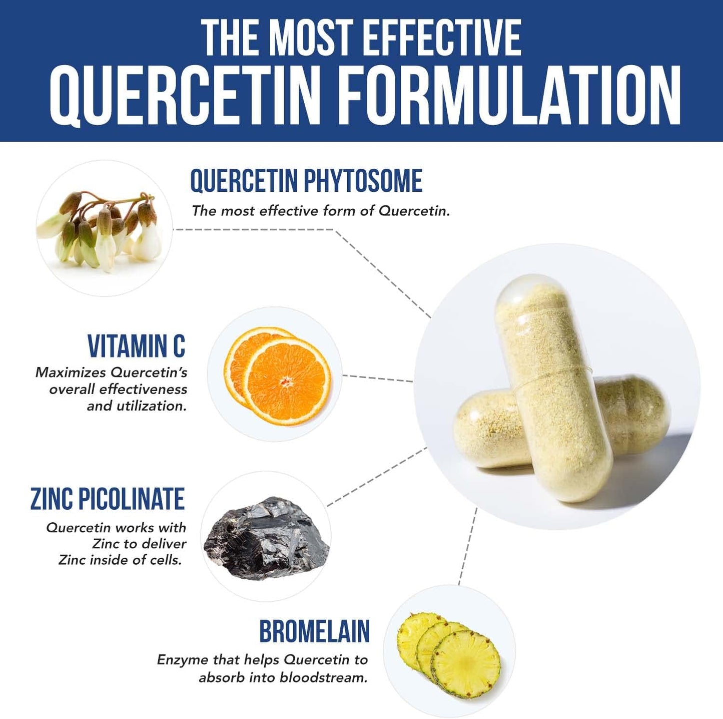 Quercetin Complete® Quercetin Phytosome with 50X Higher Absorption, Clinically Proven & Patented Quercefit – Most Effective Form of Quercetin – Enhanced with Bromelain, Zinc & Vitamin C (60 Capsules)