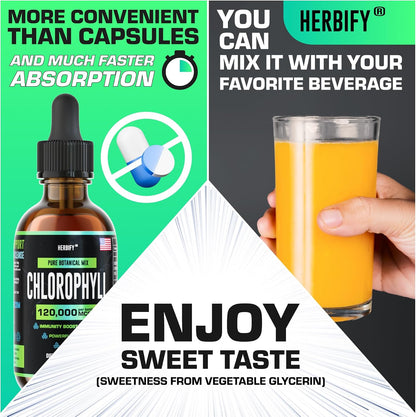 HERBIFY Bundle - Mullein Leaf Extract & Chlorophyll Drops - Lung Cleanse and Respiratory Support & Energy Boost and Immune System Support
