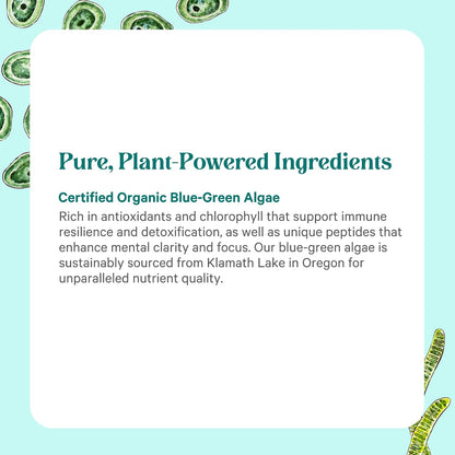 PURE SYNERGY Blue-Green Algae Powder | Superfood Powder with Chlorophyll | Organic AFA Blue Green Algae Supplement | Supports Energy, Mental Clarity, and Detoxification (3.2 oz.)