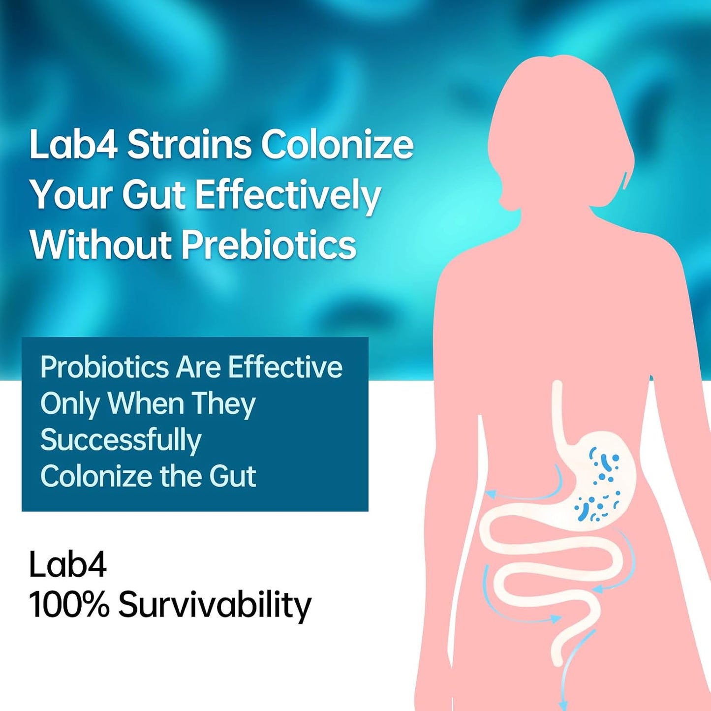Probiotic Supplement for IBS, Bloating, Gas, Digestive, Gut & Immune Health