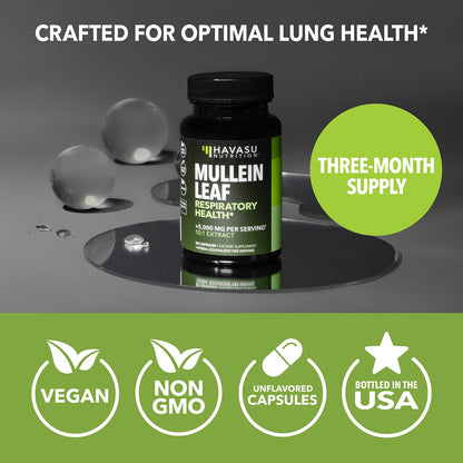 500mg Mullein Extract for Lung Support and Respiratory Health, 30 Count | Mullein Leaf Capsules for Respiratory Health, Vegan, Non-GMO Herbal Supplement for Overall Daily Wellness, 1 Month Supply