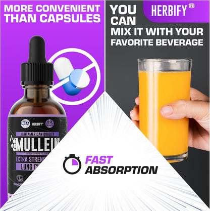 HERBIFY Bundle - Lions Mane & Mullein Grape 4 Fl Oz Drops - Supplement for Memory, Focus & Clarity & Immune Support, Lung Cleanse and Bronchial Support