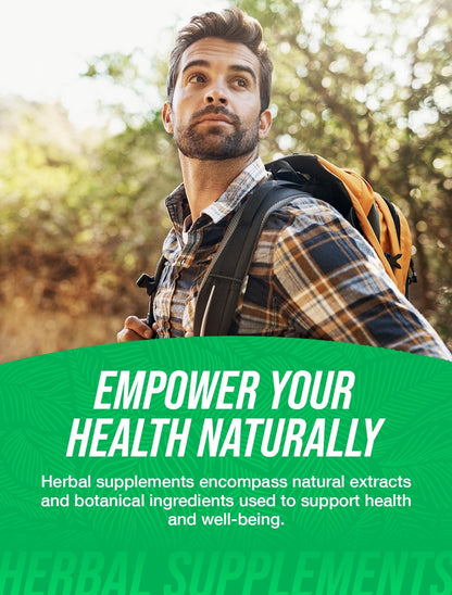 BulkSupplements.com Ashwagandha Extract Capsules - Ashwagandha Extract, Herbal Supplement - Vegan & Gluten Free, 1 Capsule per Serving, 240 Count (Pack of 1)