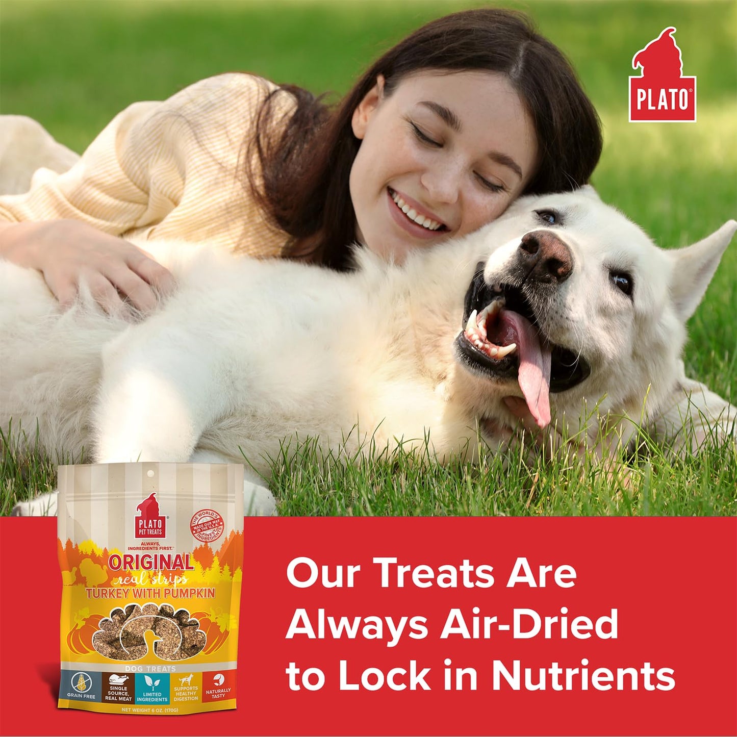Plato Pet Treats Real Strips - Air-Dried Meat Bars for Dogs - Delicious, Limited Ingredient Dog Treats - Grain Free - Original Real Strips Turkey & Pumpkin 18oz - 2 Pack