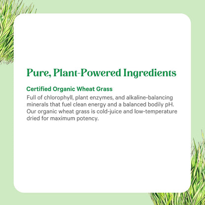 PURE SYNERGY Organic Wheat Grass Juice Powder | Chlorophyll-Rich Green Juice Powder | Raw Organic USA Wheat Grass | for Energy, Alkaline Balance, and Digestion Support (5.3 oz.)