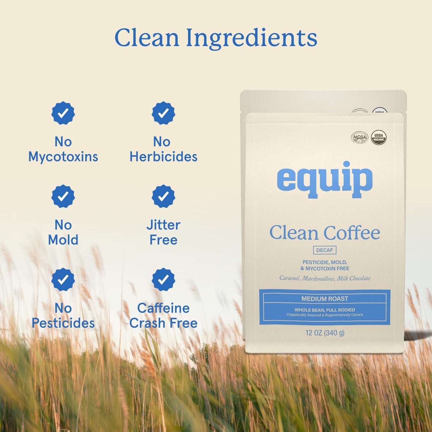 Equip Foods Clean Coffee | Gold Standard, Certified Organic, Fair Trade, Regenerative | Medium Roast, Whole Bean, Nicaragua | Brown Sugar+Chocolate+Citrus