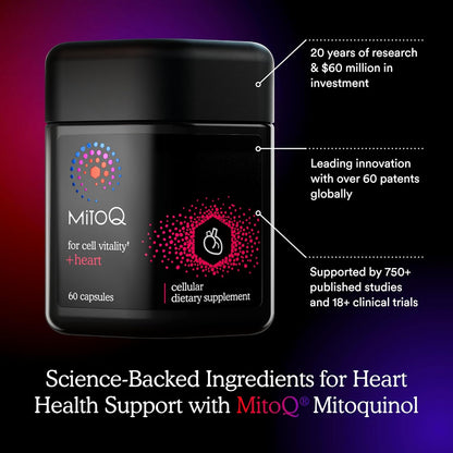 MitoQ Ultimate Antioxidant Bundle: Mitochondria-Targeted and Heart Health Antioxidant Supplements | Supports Cellular Longevity, Cardiovascular Health, Energy, and Healthy Aging (2 x 60 Capsules)