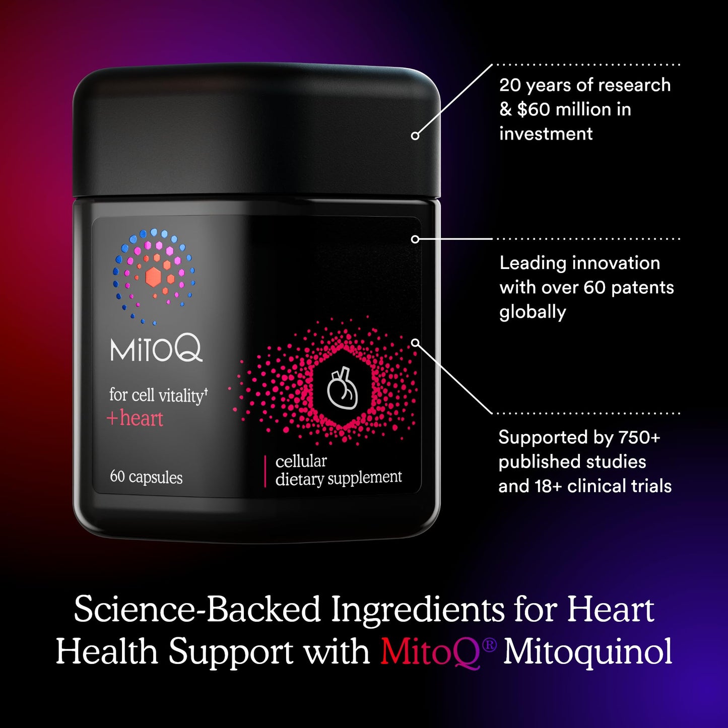 MitoQ +Heart Advanced CoQ10 Antioxidant - Heart Health Supplement with L-Carnitine, Magnesium, & Vitamin D3 - Supports Cardiovascular Health, Blood Flow, and Cellular Energy (60 Capsules)